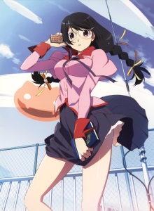 История кошки