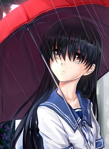 Электромагнитная подружка