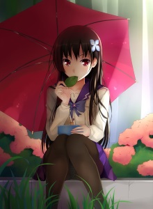 Санка Рэа OVA